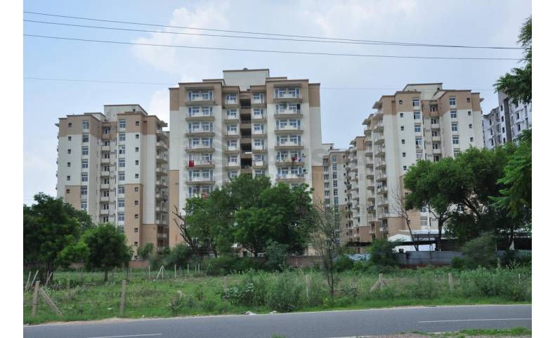 Petals Gurgaon